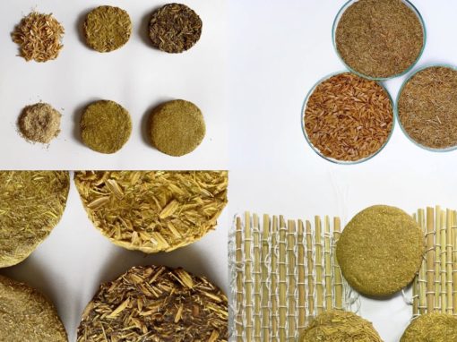 Изработка на нови материјали од слама од ориз и лушпа